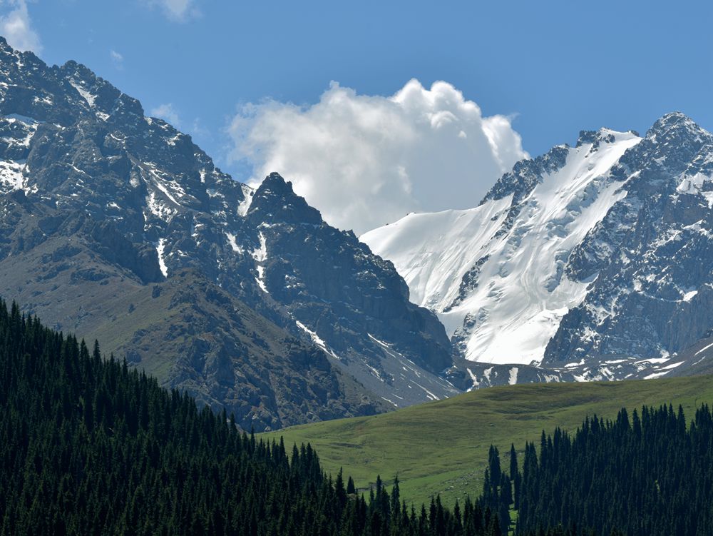 DSC_4575_.jpg