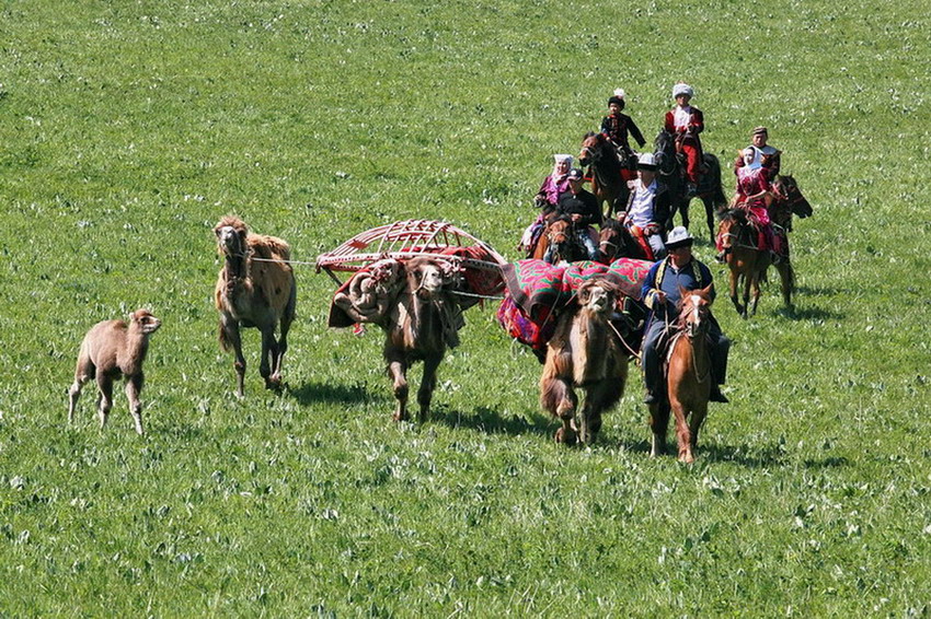 IMG_9478.jpg