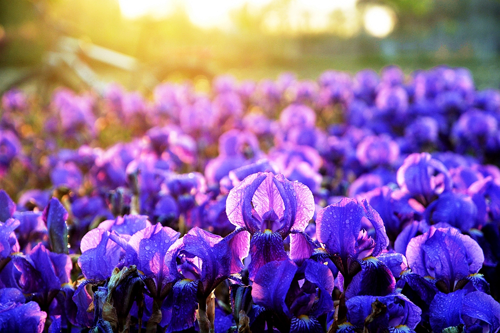 ʯˮȥ 099_.jpg