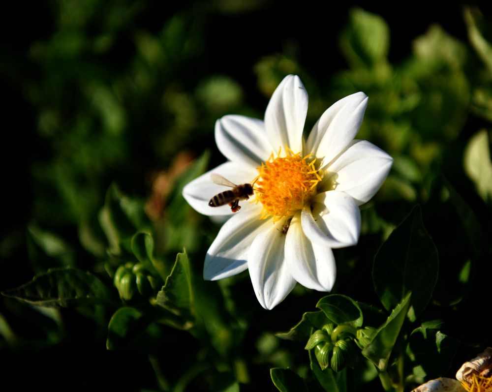 DSC_5357_.jpg