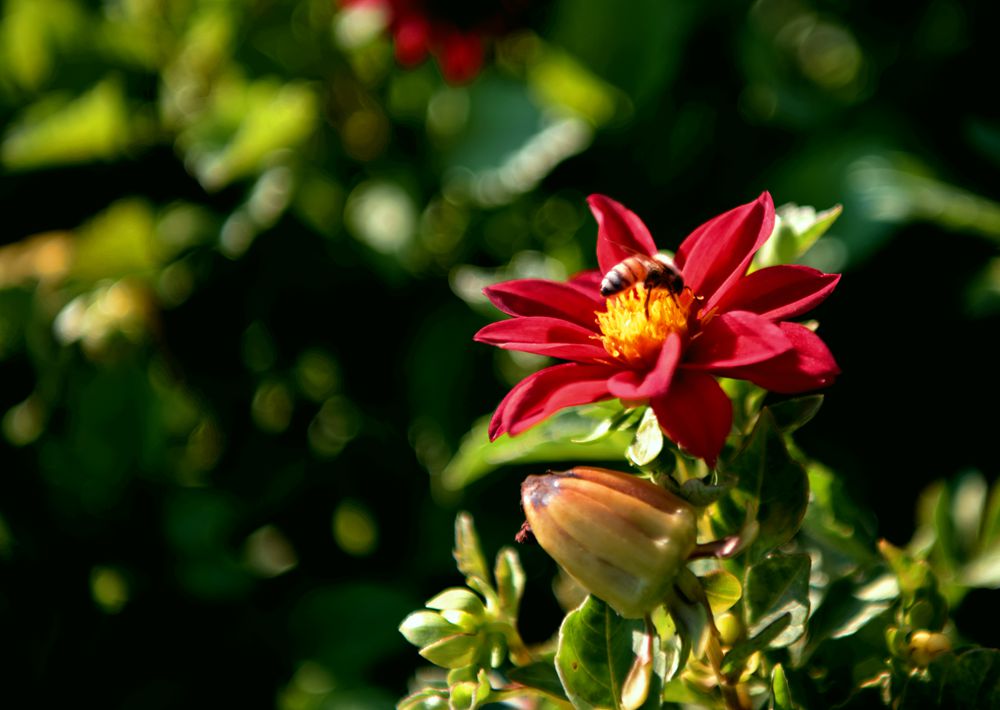 DSC_5361_.jpg