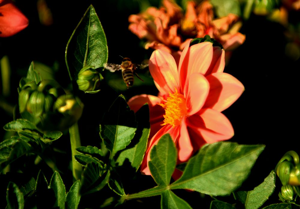 DSC_5379_.jpg