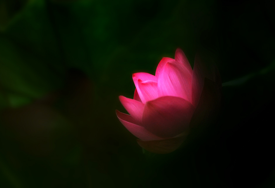 DSC_2106.JPG