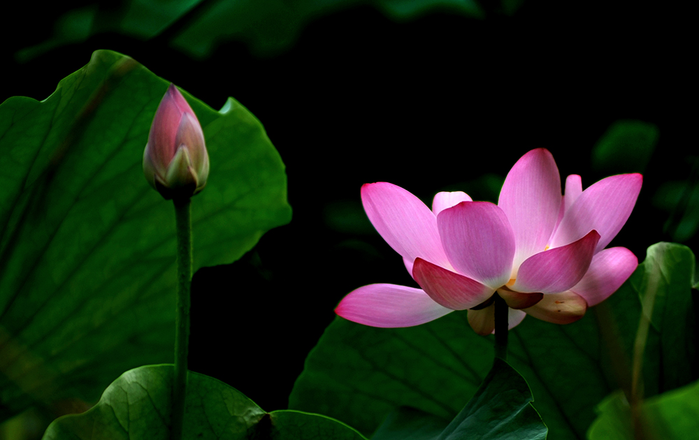 DSC_2161.JPG