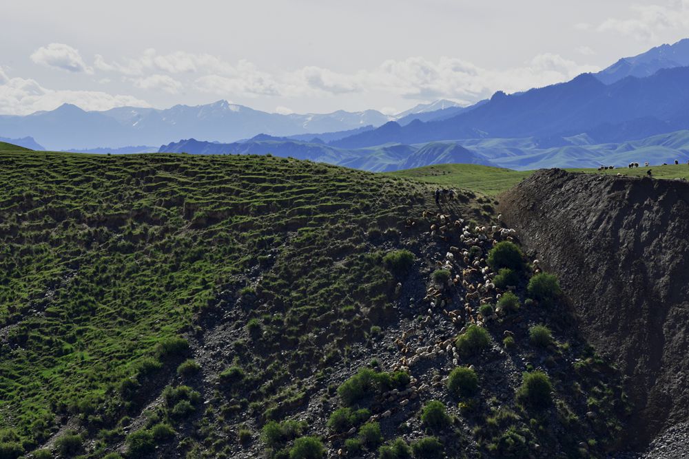 DSC_4450_.jpg