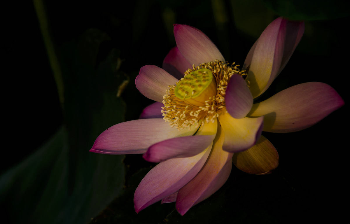 DSC_6691.jpg