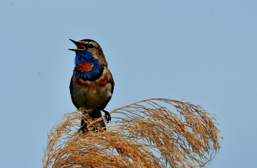 DSC_5182_.jpg