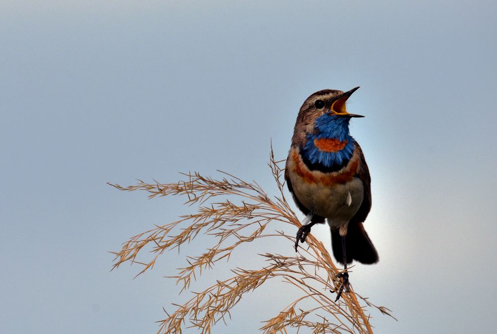 DSC_5205_.jpg