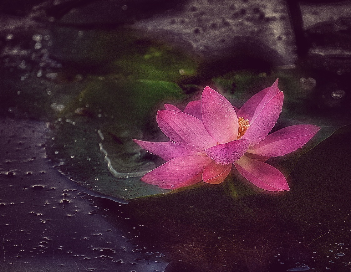 DSC_5398-01.jpeg