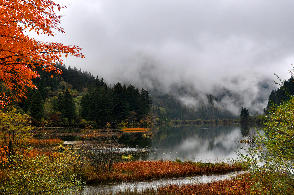 DSC_0006.JPG