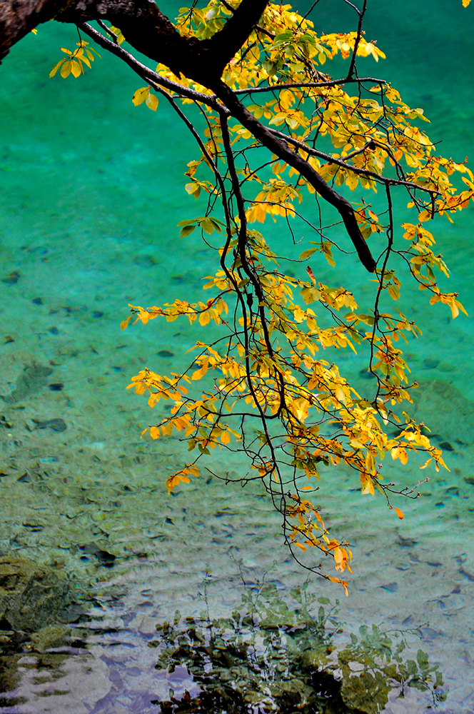 DSC_0065.JPG