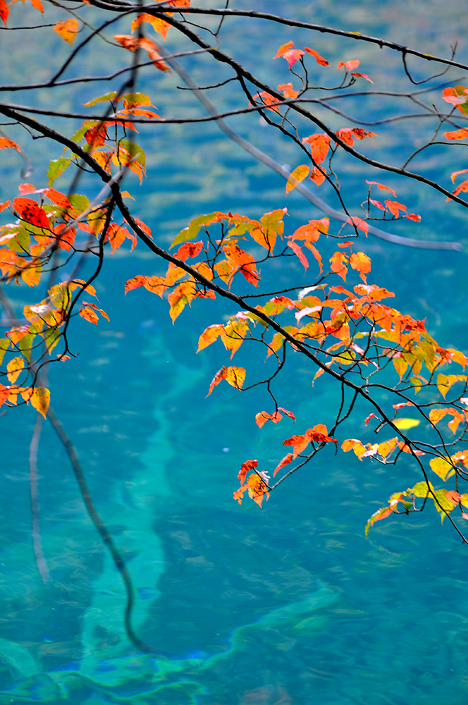 DSC_0123.JPG