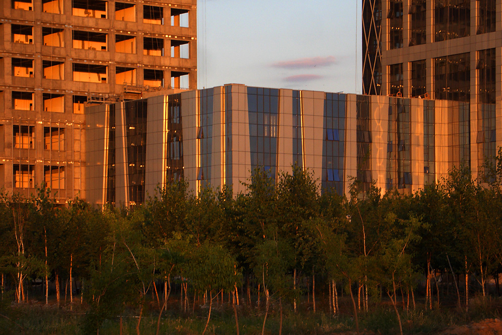 CIMG6048.jpg