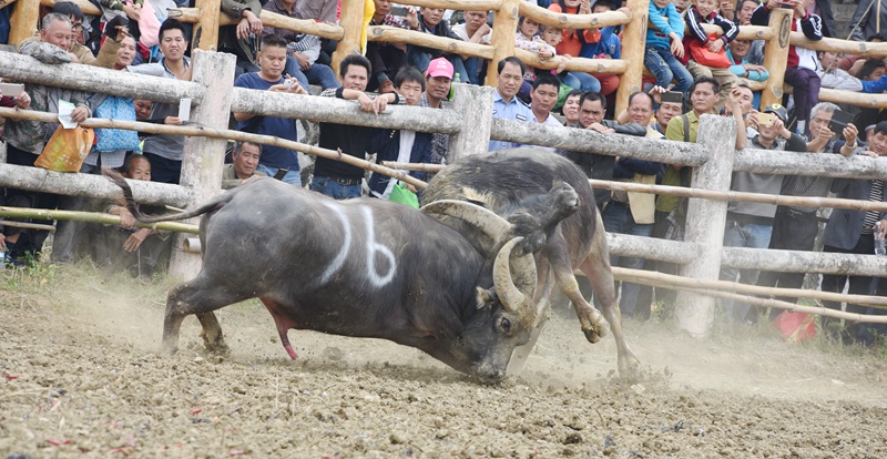 DSC_3278.JPG