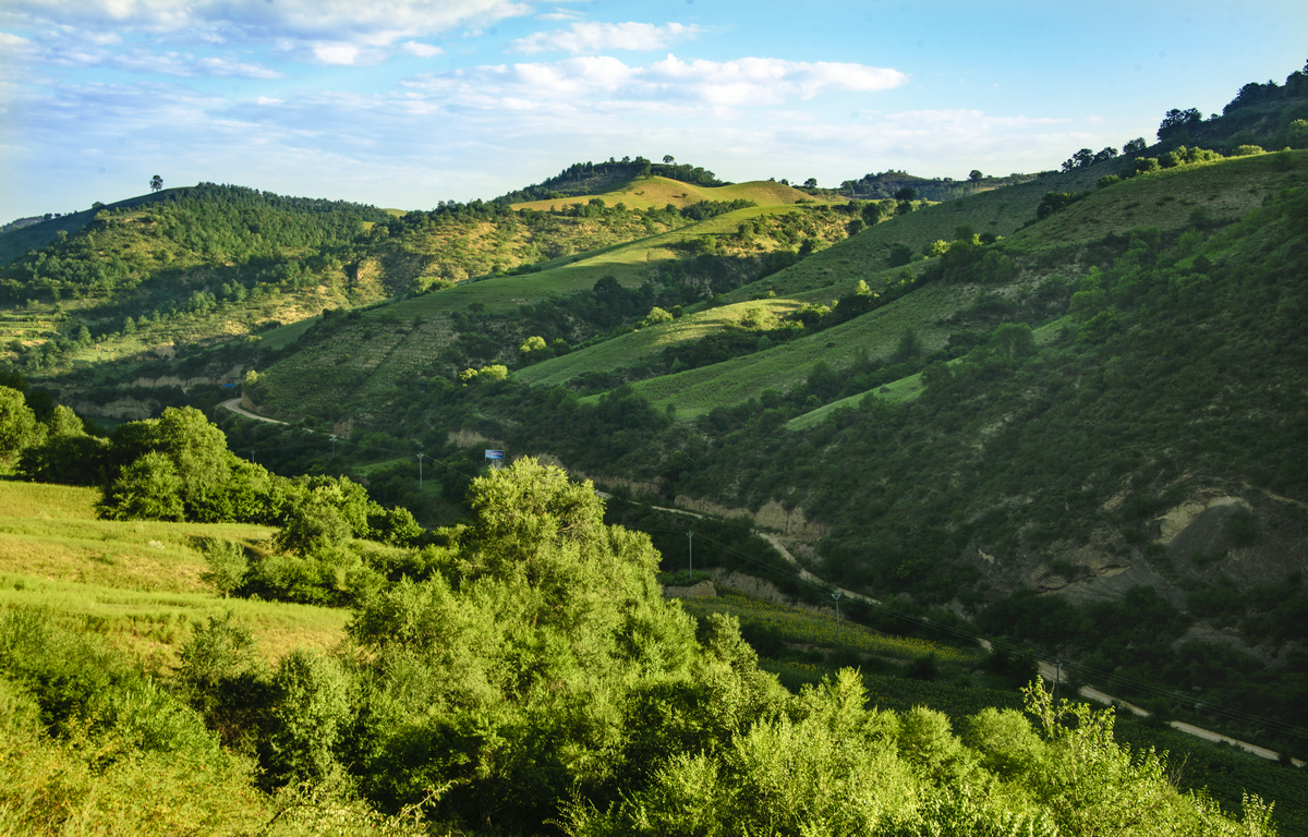DSC_7378.jpg