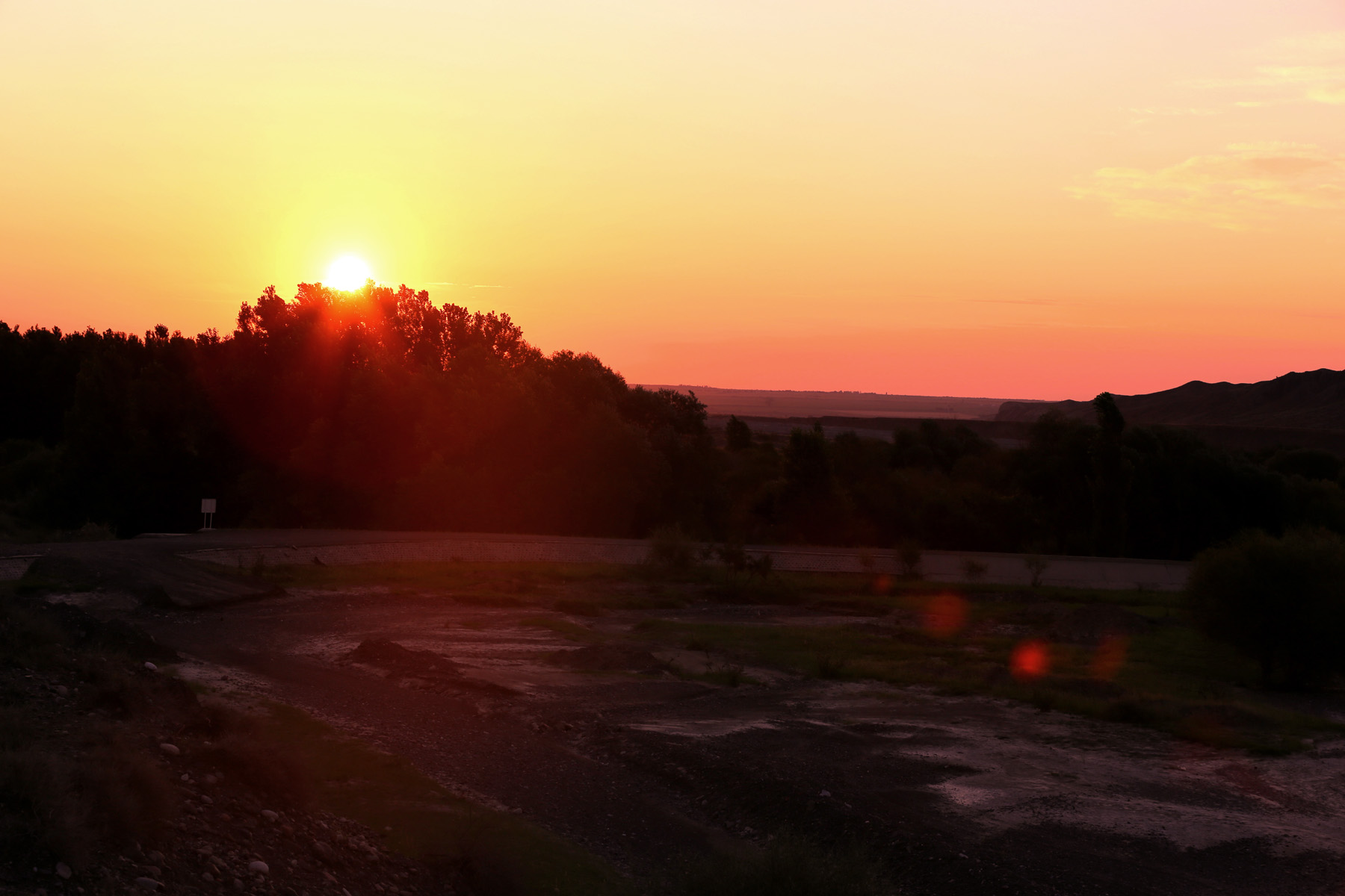 CC5A9813.1200w.jpg