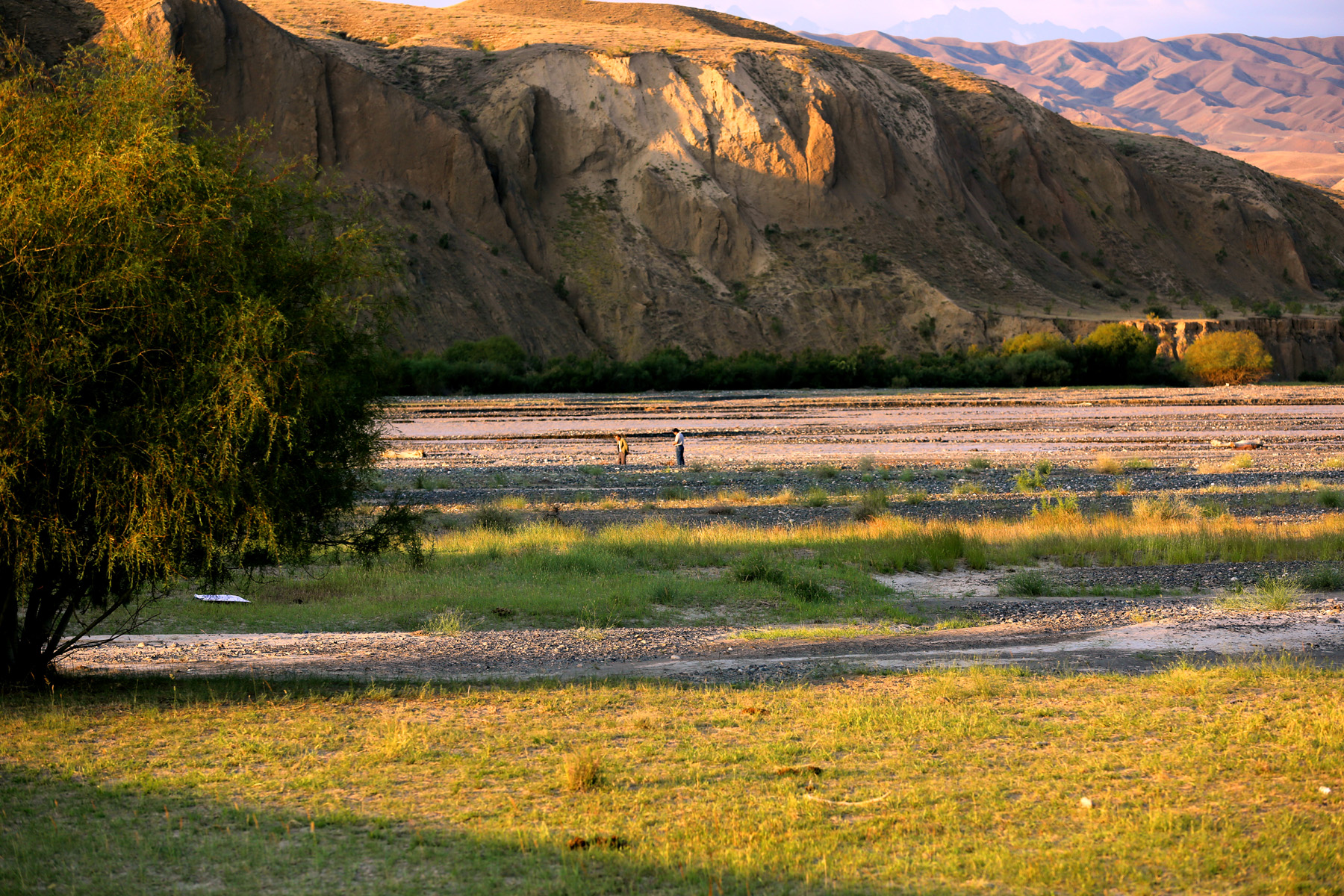 CC5A9866.1200w.jpg