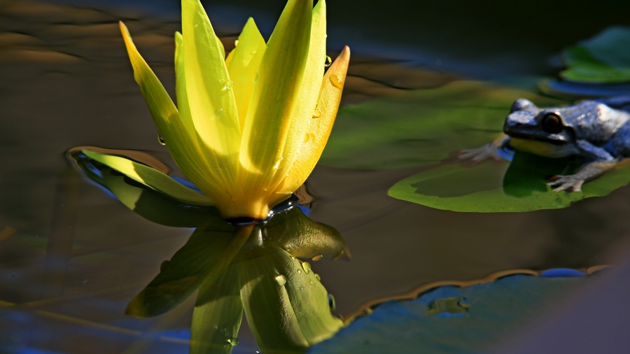 4U4A00120.jpg