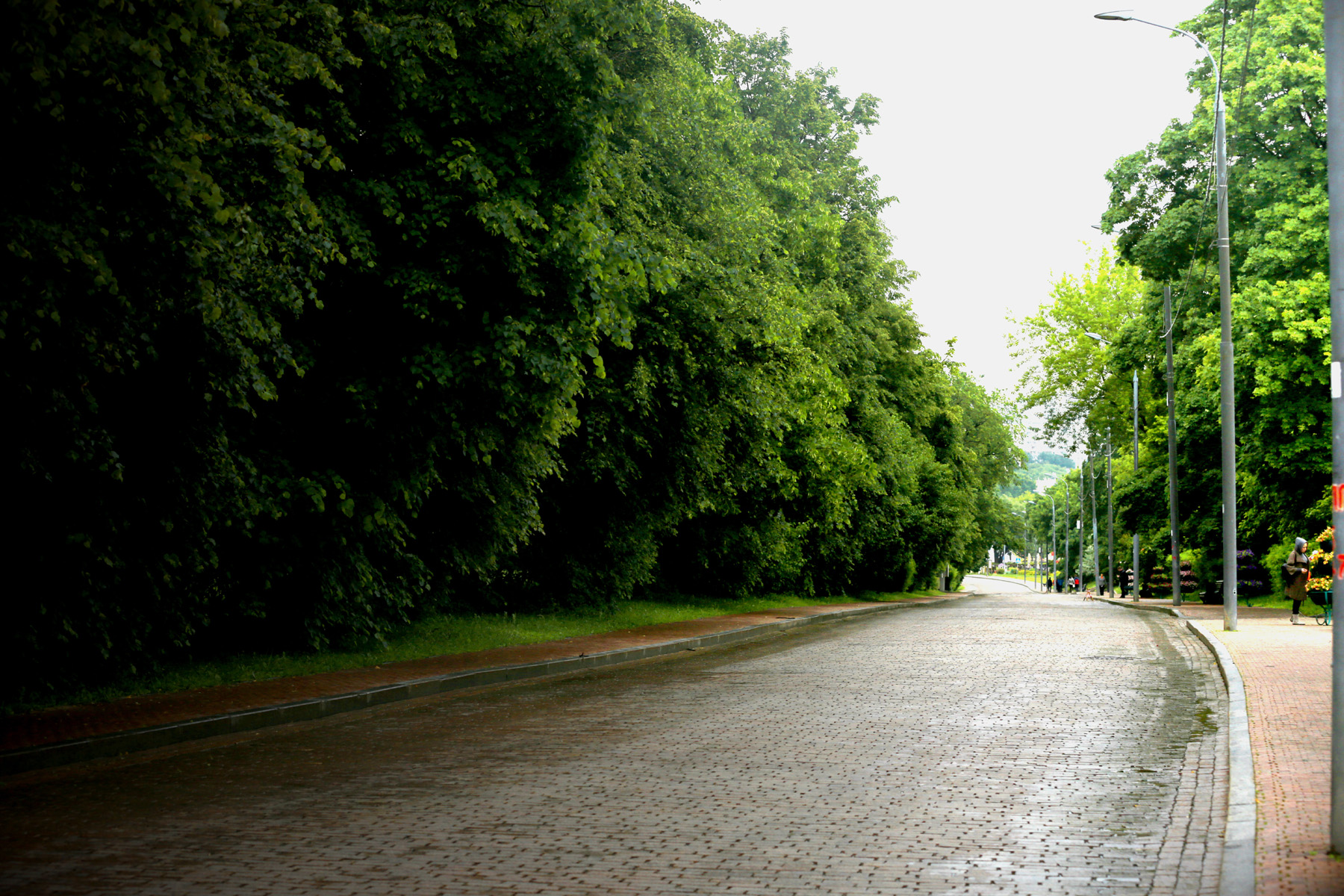 CC5A8770.1200w.jpg