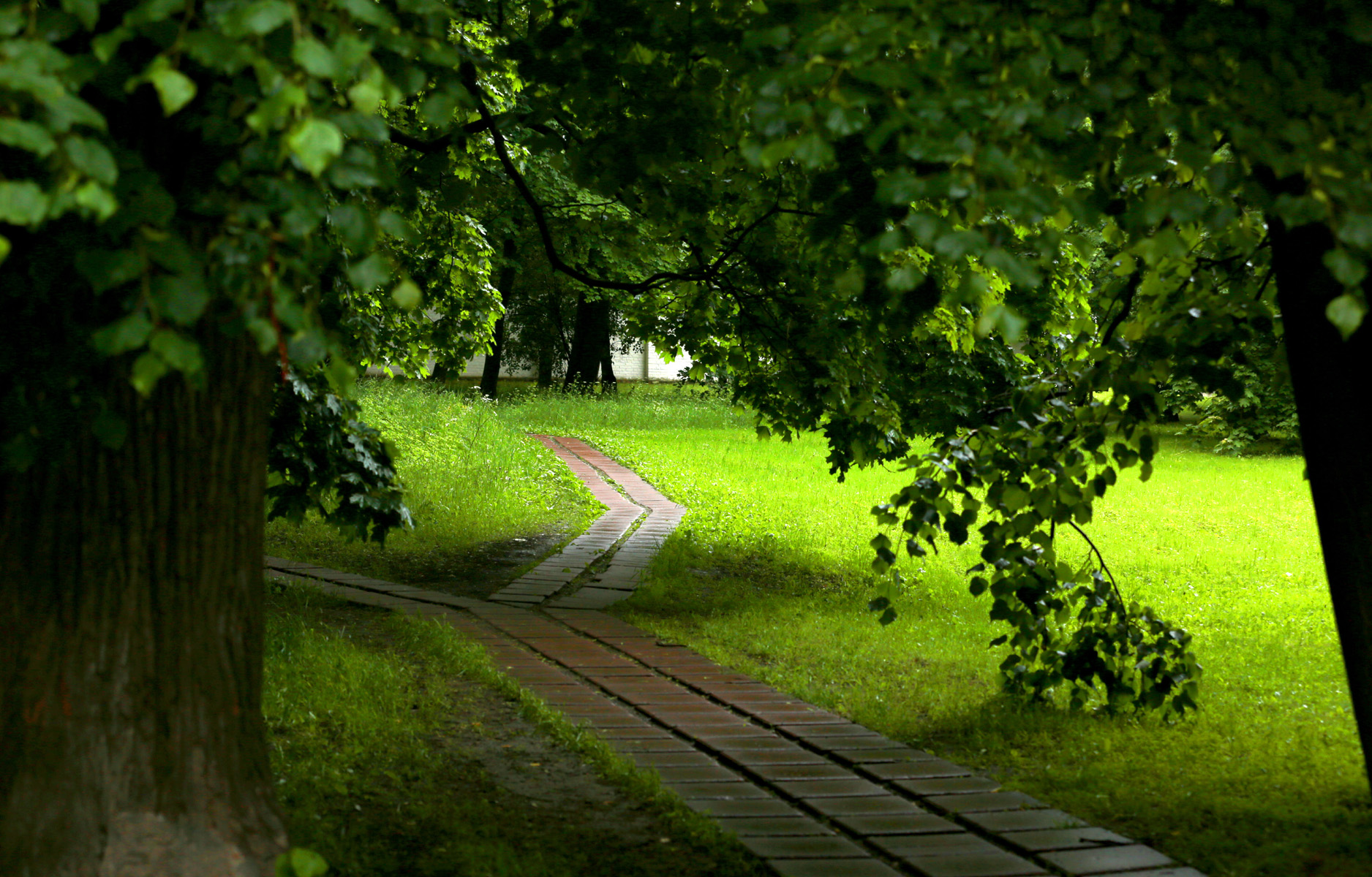 CC5A8726.1200w.jpg
