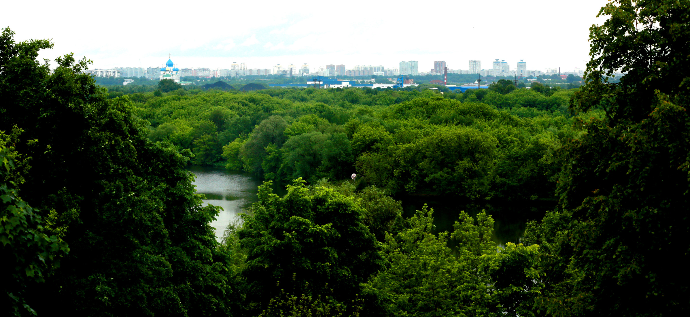 CC5A8744.1100w.jpg