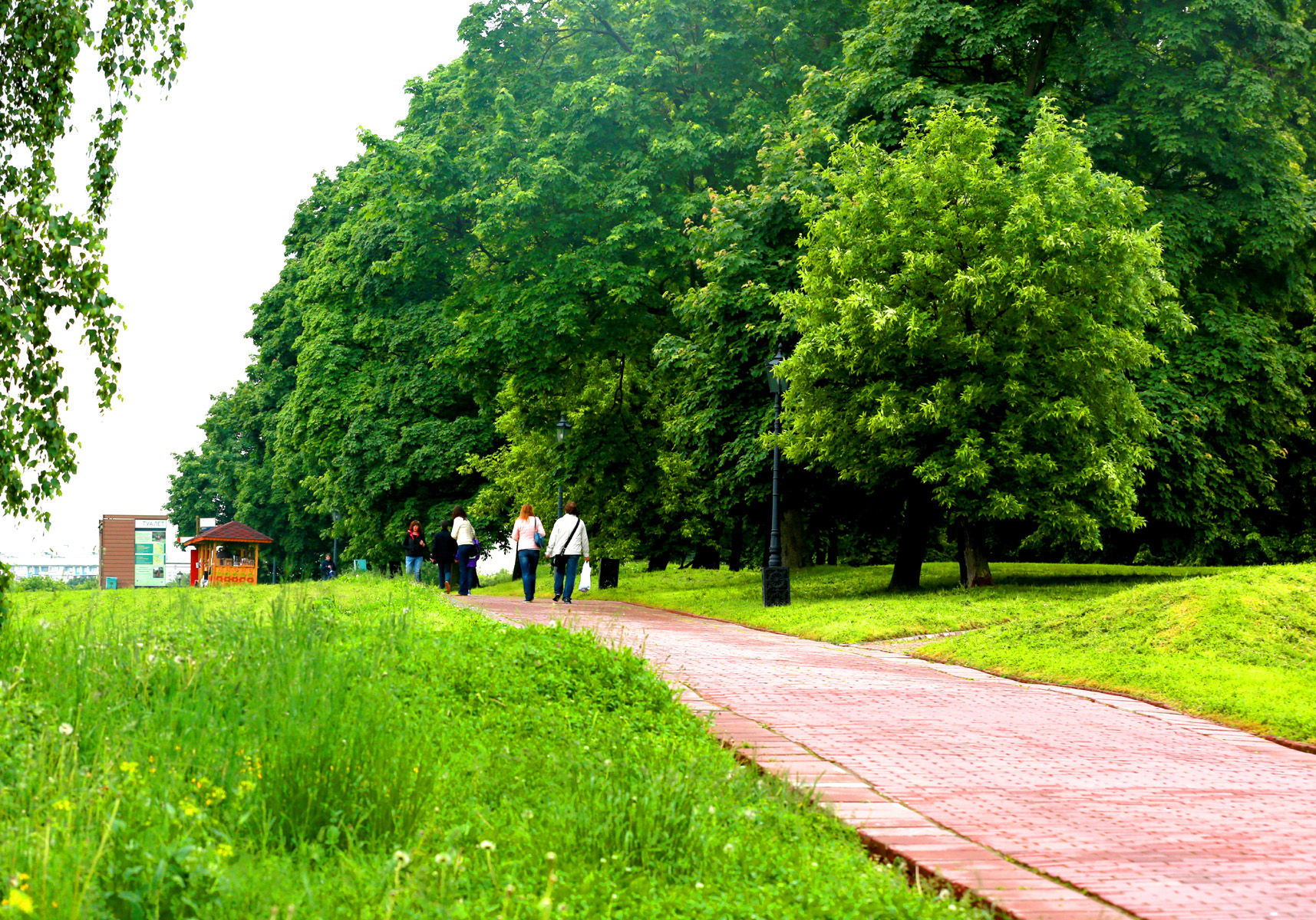 CC5A8768.1200w.jpg