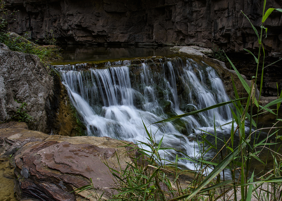 DSC_5619-g.jpg