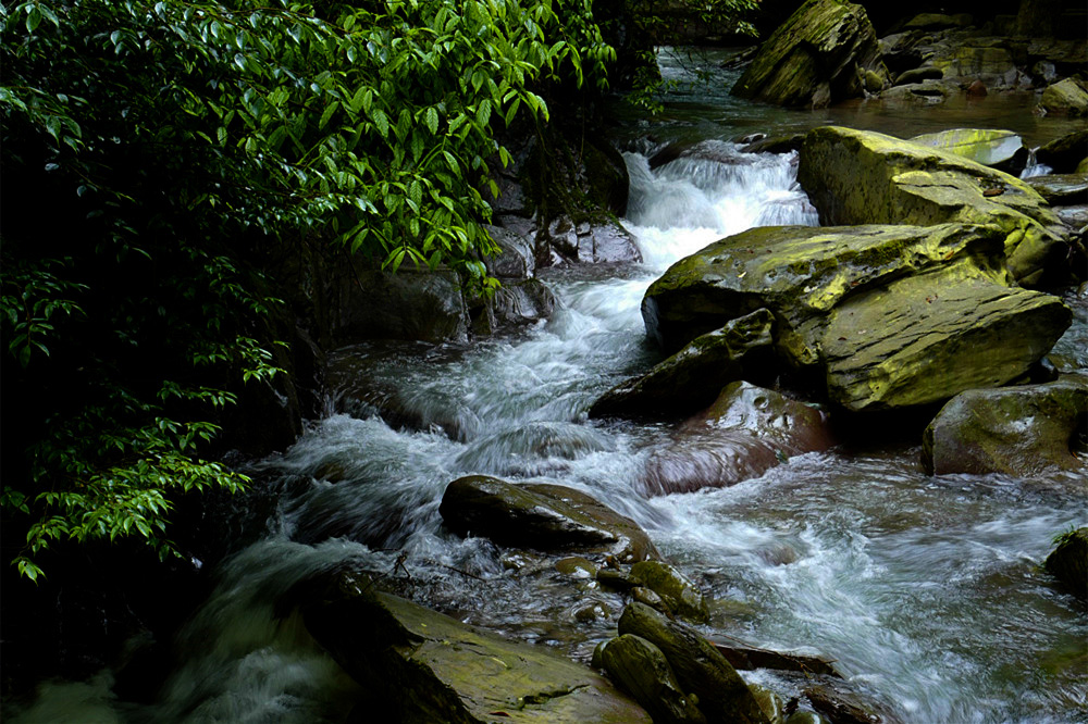 L1050681_.jpg