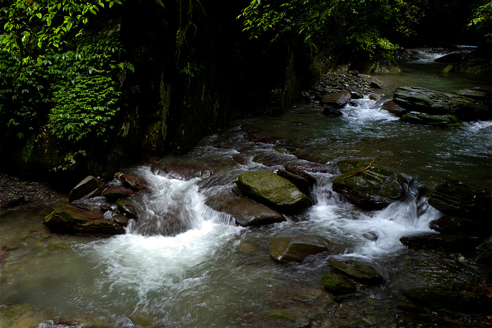L1050694_.jpg