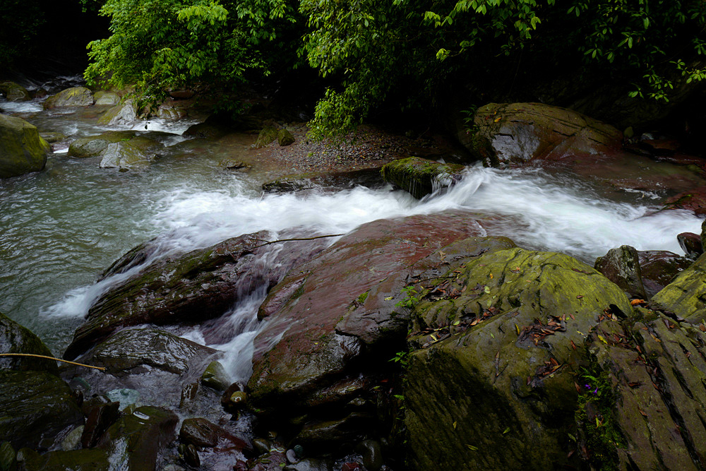 L1050701_.jpg