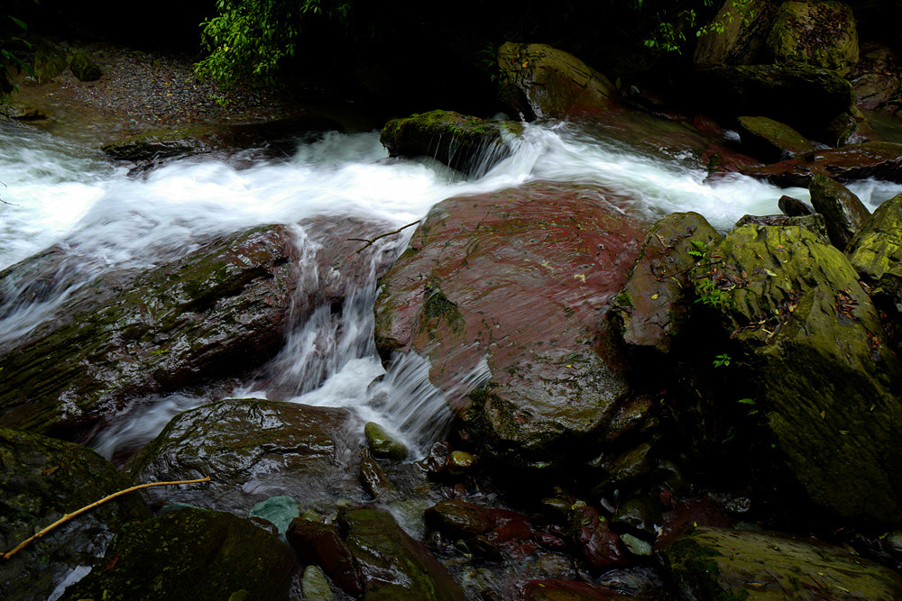 L1050713_.jpg