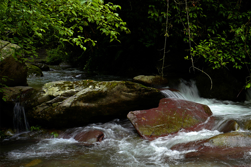 L1050724_.jpg