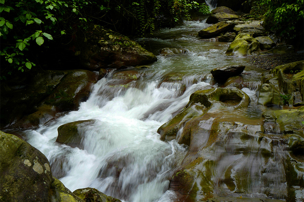 L1050718_.jpg