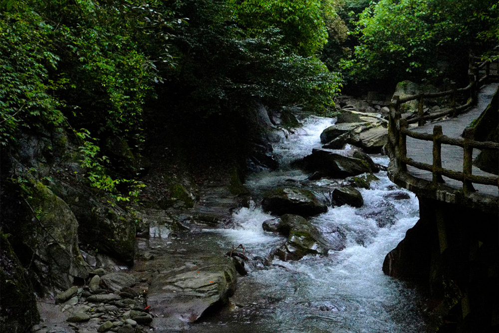 L1050679_.jpg