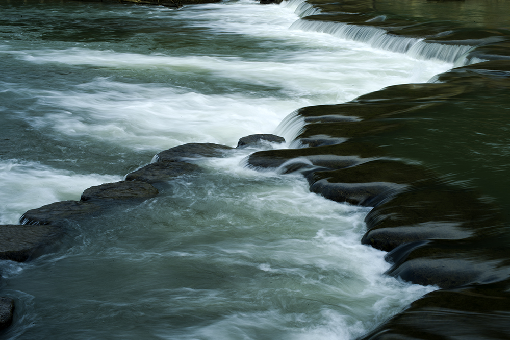 DSC_4779.jpg