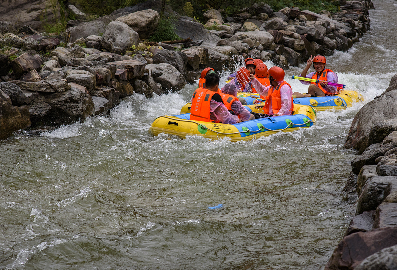 DSC_5991-g.jpg