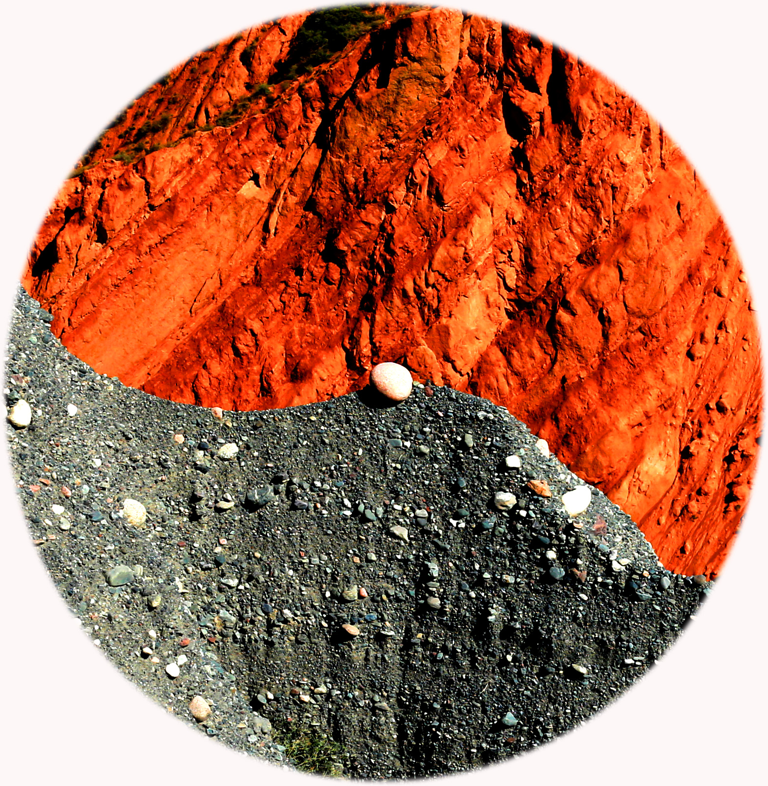 CC5A0553 .jpg