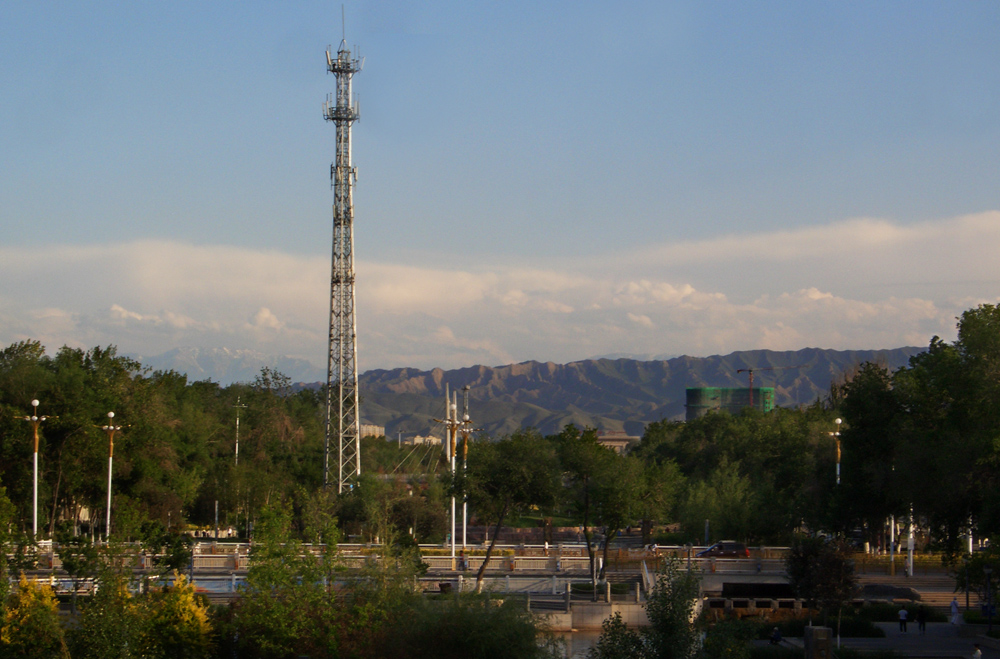 CIMG5368 .jpg