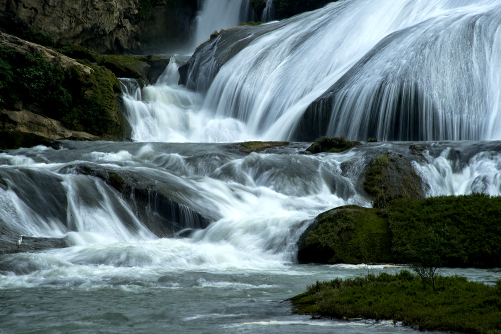 DSC_4780.jpg