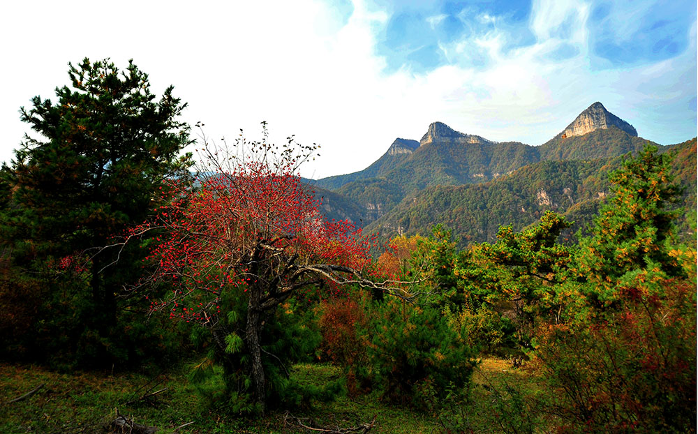 DSC_5020.JPG