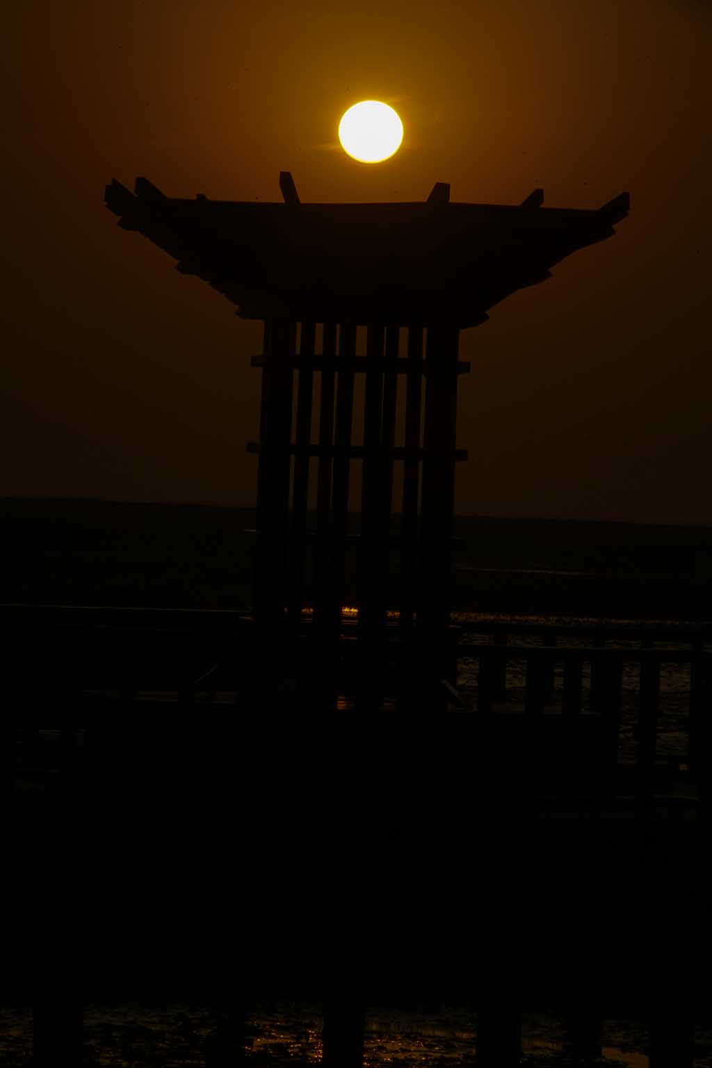 DSC08940.JPG