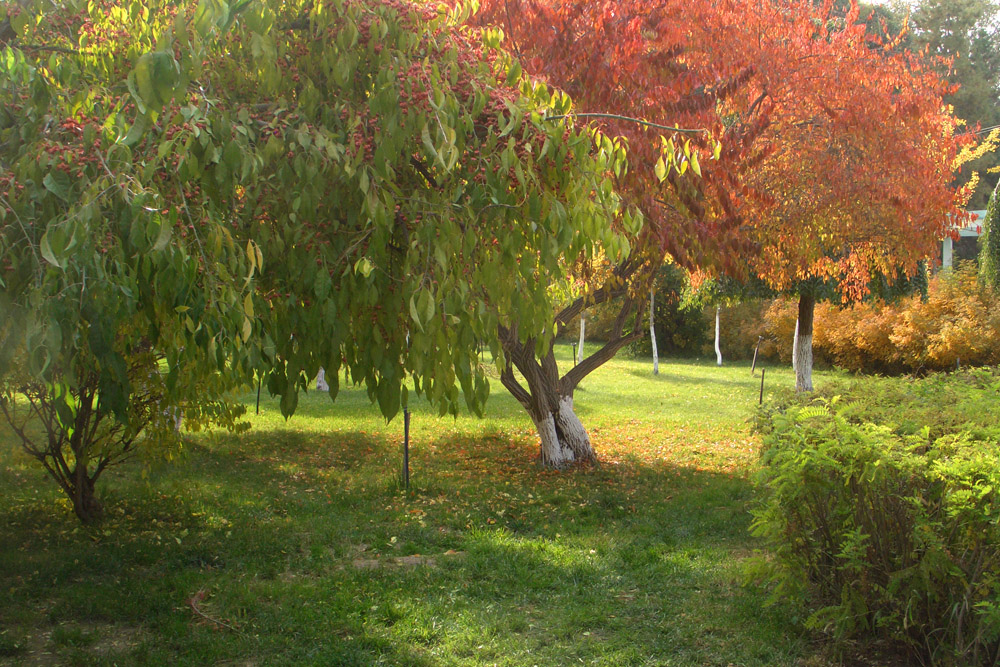 CIMG6704.jpg