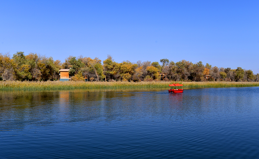 DSC_3488.JPG