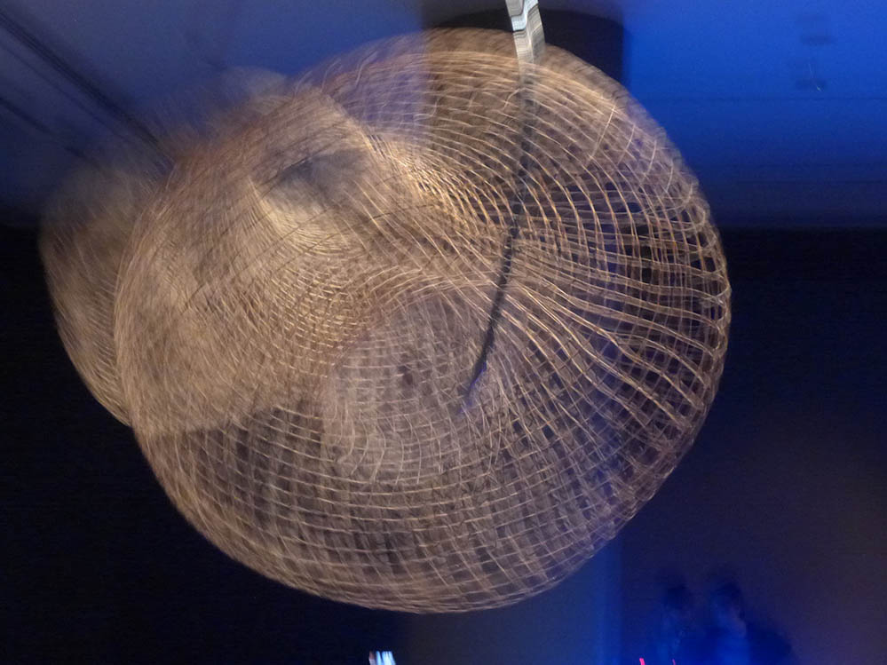 p 215.jpg