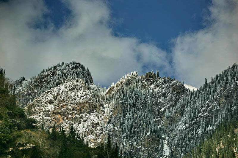 IMG_3575.jpg
