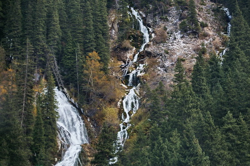 IMG_3585.jpg