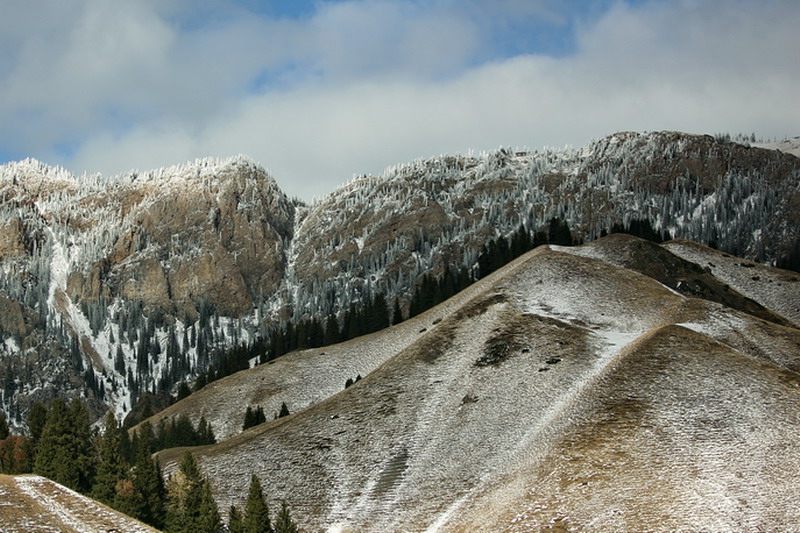 IMG_3592.jpg