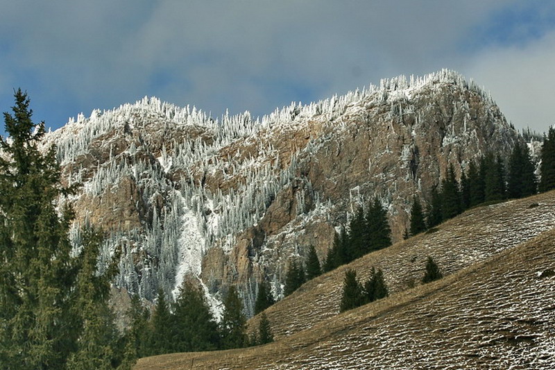IMG_3594.jpg