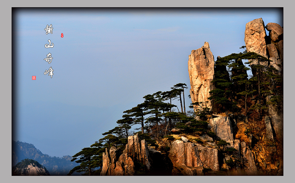 DSC_3239.JPG
