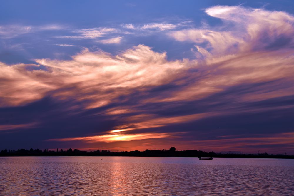 DSC_6287_.jpg